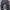 Carhartt Streetwear Y2K Casual pants Pria navy photo 1