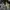 Carhartt Streetwear Y2K Casual pants Pria navy photo 3