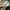 Stone Island Gorpcore Casual Sweatshirt Pria green photo 4