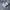 Nike Casual Sneakers Pria white black photo 1