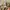 Casual Sweatshirt Pria tan photo 5