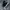 Nike Sportswear Sneakers Pria white black photo 1