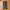 Champion Streetwear Sportswear Tracksuit Pria green black photo 4