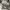 Nike Vintage Sportswear Sneakers Pria white photo 6