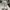Nike Vintage Sportswear Sneakers Pria white photo 4