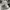 Nike Vintage Sportswear Sneakers Pria white photo 3