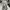 Nike Vintage Sportswear Sneakers Pria white photo 5