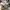 Nike Vintage Sportswear Sneakers Pria white photo 1