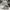 Nike Vintage Sportswear Sneakers Pria white photo 2