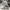 Nike Vintage Sportswear Sneakers Pria White