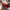 Nike Sportswear Casual Sneakers Pria Red
