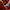 Nike Sportswear Casual Sneakers Pria red photo 8