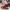 Nike Sportswear Casual Sneakers Pria red photo 2