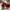 Nike Sportswear Casual Sneakers Pria red photo 6