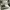 Puma Casual Sneakers Pria cream photo 3