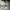 Nike Sportswear Fleece Pria gray photo 2