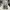 Nike Casual Sneakers Pria cream photo 5