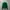 Tommy Hilfiger Luxury Sweater Pria green photo 2