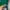 Tommy Hilfiger Luxury Sweater Pria green photo 4