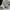 Nike Casual Sneakers Pria white photo 7