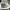 Nike Casual Sneakers Pria white photo 3