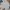 Burberry Streetwear Sportswear Polo shirt Pria multicolor photo 1