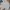 Burberry Streetwear Sportswear Polo Shirt Pria Multicolor