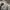 Burberry Streetwear Sportswear Polo shirt Pria multicolor photo 3