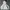 Vintage Streetwear Hoody Pria white photo 4