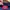 Dickies Vintage Casual T-shirt Pria navy photo 2