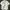 Polo Ralph Lauren Luxury Casual Casual shirt Pria cream photo 1