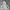 Vintage Streetwear Hoody Pria gray photo 4
