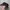 Skechers Vintage Hat Pria black photo 2