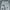 Michael Kors Luxury Futurist Ripped jeans Wanita white photo 3