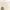 H&M Minimalist T-shirt Wanita cream tan photo 2