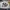 MLB Streetwear Sportswear Hat Pria multicolor photo 3