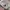 MLB Streetwear Sportswear Hat Pria multicolor photo 5