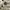 Timberland Casual Short Pria khaki photo 6
