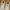 Nike Air Jordan Streetwear Sportswear Sneakers Pria white photo 4
