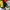 Avant Garde Minimalist Sweatshirt Pria multicolor photo 6