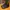 Converse Streetwear Sportswear Sneakers Pria Black
