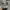 Casual Hat Pria gray photo 1