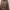 Bershka Luxury Windbreaker Wanita photo 5