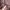 Bershka Luxury Windbreaker Wanita photo 6