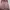 Bershka Luxury Windbreaker Wanita photo 1