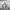 Converse Skater Casual Hoody Pria gray photo 1