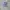 Polo Ralph Lauren Luxury Polo shirt Pria navy blue photo 1