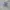 Polo Ralph Lauren Luxury Polo Shirt Pria Navy Blue