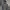 Dickies Skater Hoody Pria gray photo 1
