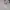 Nike Streetwear Sportswear Hoody Pria gray photo 3